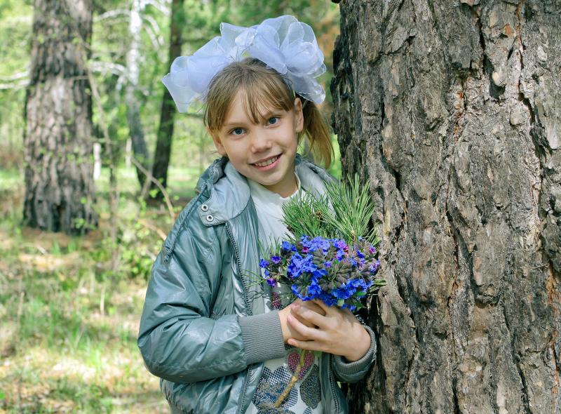 Чемской бор 