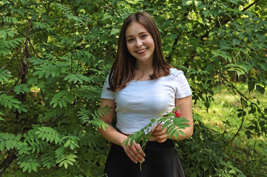 Чемской бор 