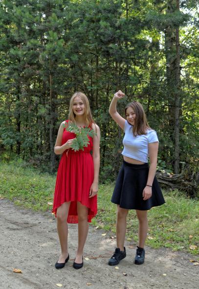 Чемской бор 