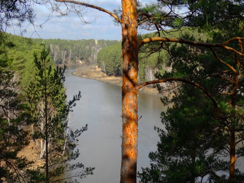 Берега Каменки