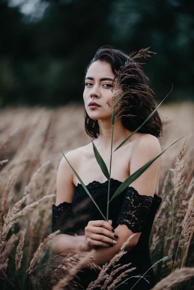 Вейниковое поле