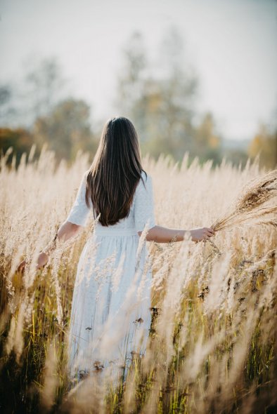 Вейниковое поле