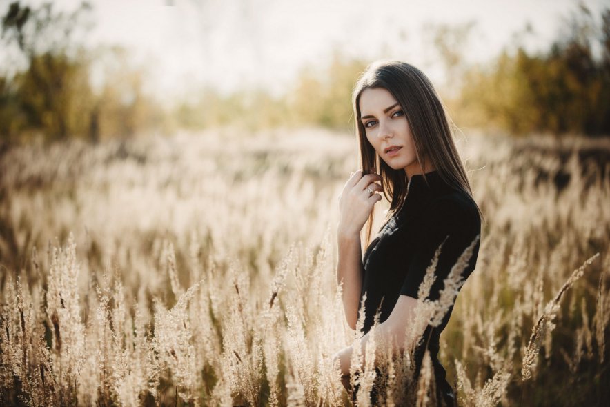 Вейниковое поле