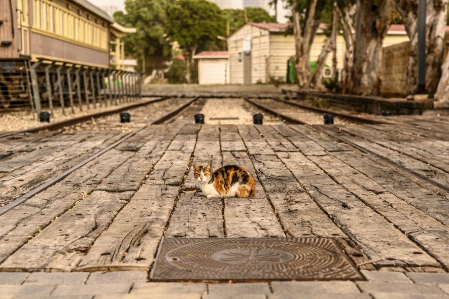 Old train station