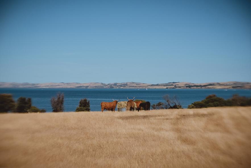 Национальный парк Черчилл Айленд Марин (Churchill Island Marine National Park)