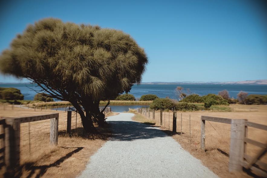 Национальный парк Черчилл Айленд Марин (Churchill Island Marine National Park)
