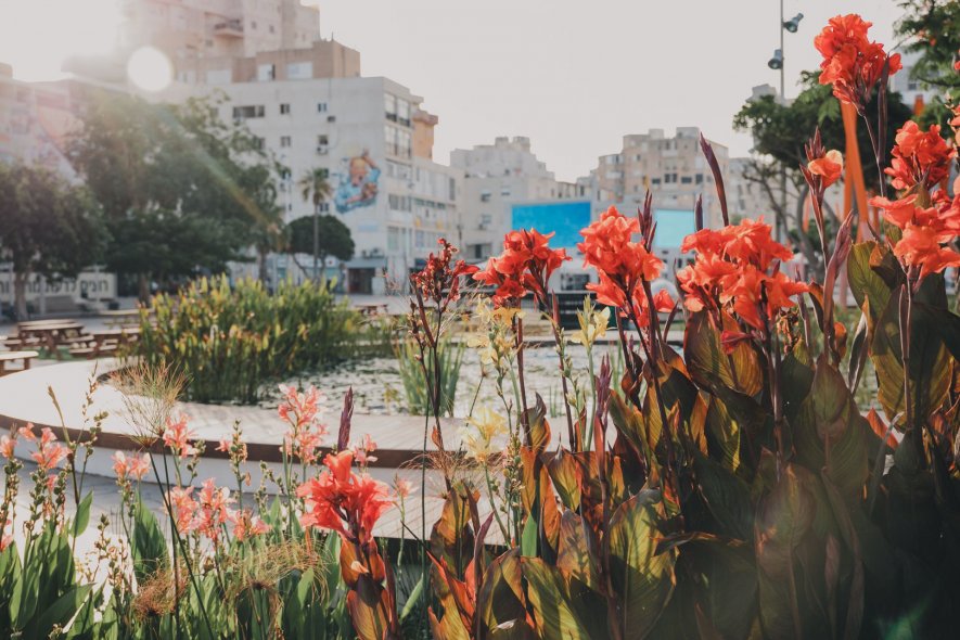 Kikar Atsmaut