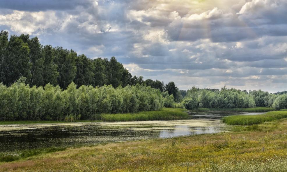 Озеро Москвичево 
