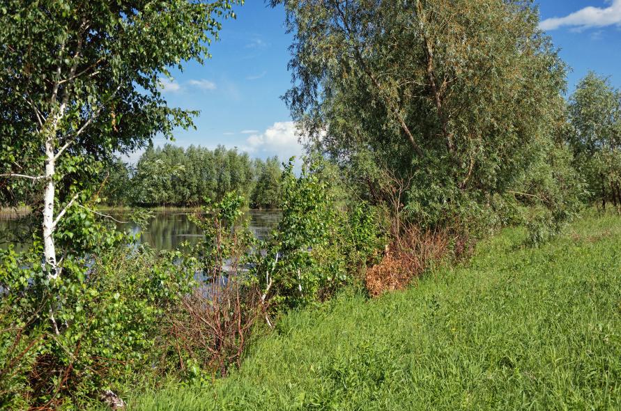 Озеро Москвичево 