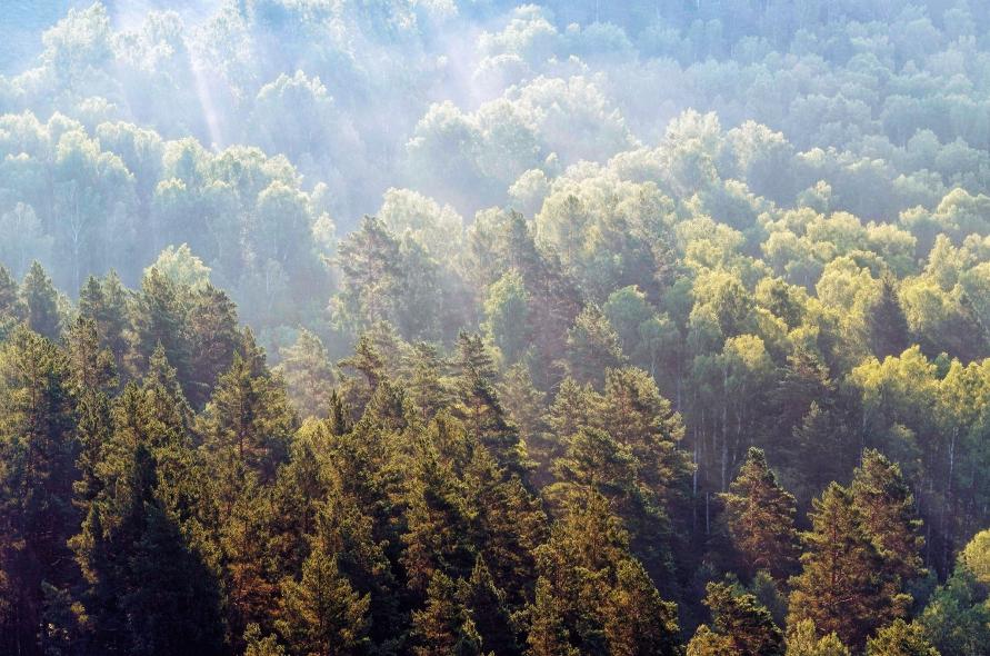 Новососедово