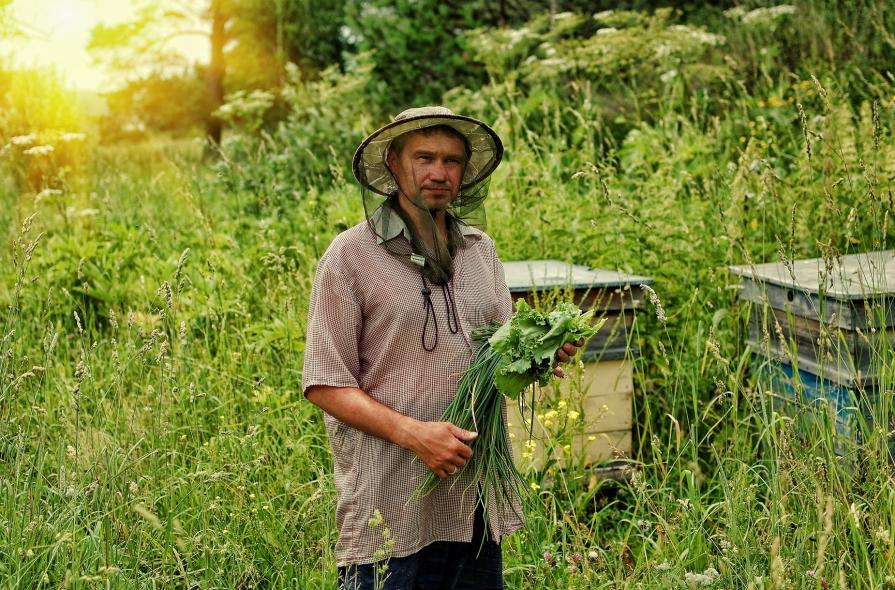 Новососедово