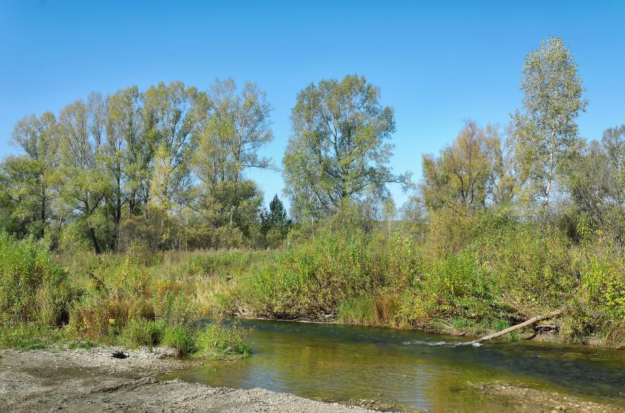 Новососедово