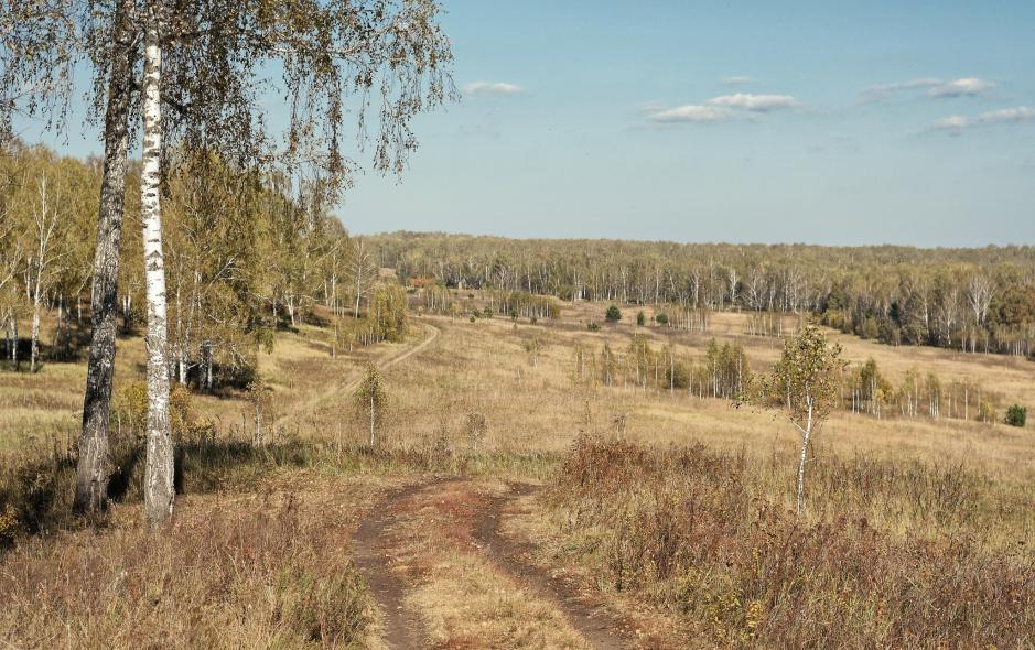 Новососедово