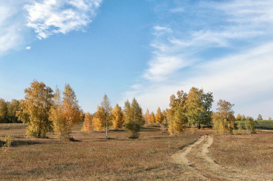 Озеро Москвичево 