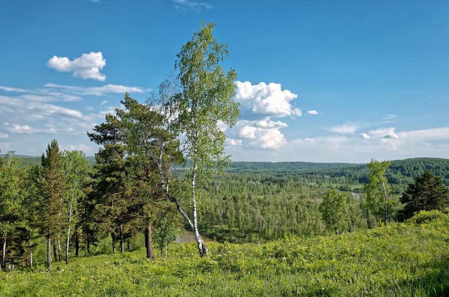 Новососедово