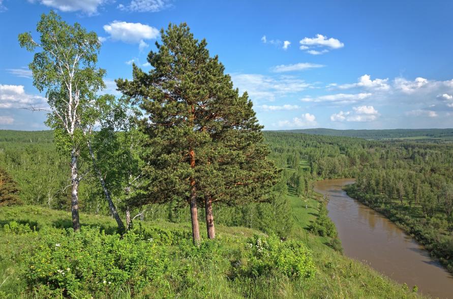 Новососедово