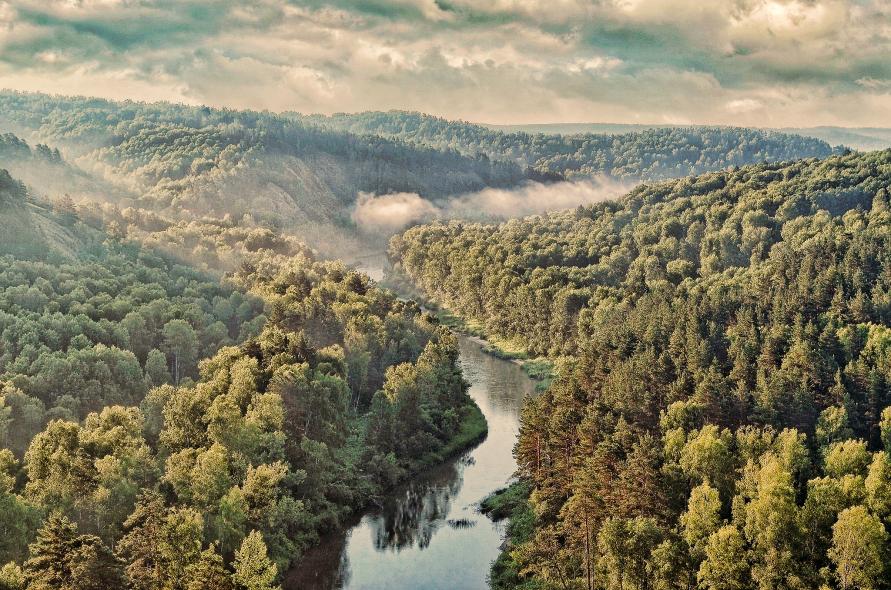 Новососедово