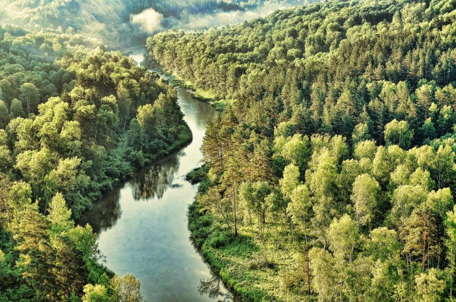 Новососедово