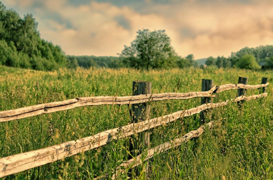 Новососедово