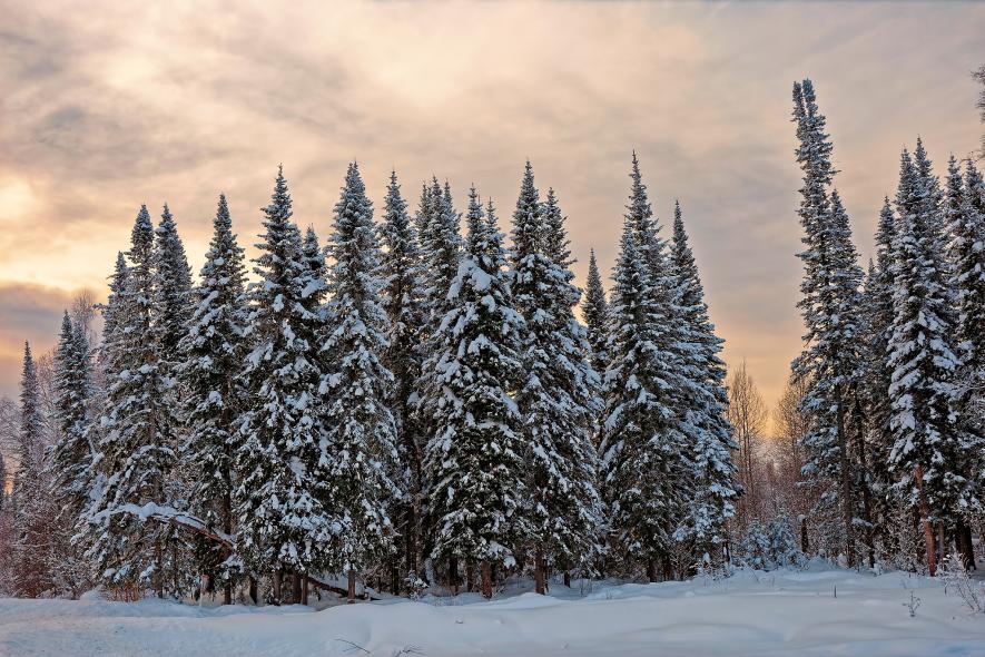 Новососедово