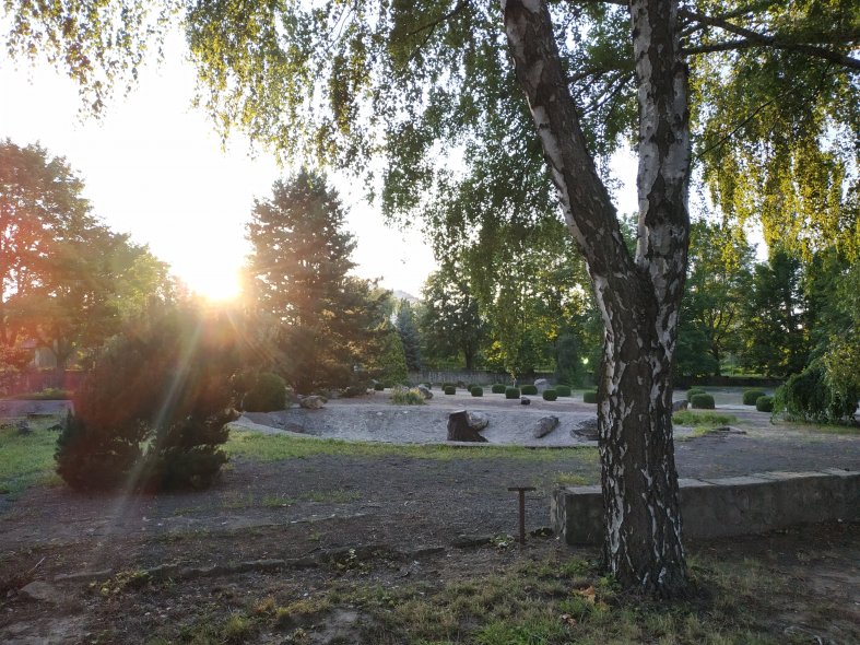 Ботанический сад 