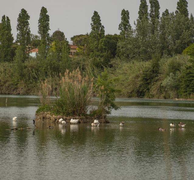Парк Джованни Паоло II (Park Giovanni Paolo II)