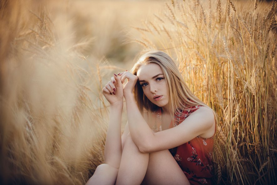 Пшеничные поля в Ярославле