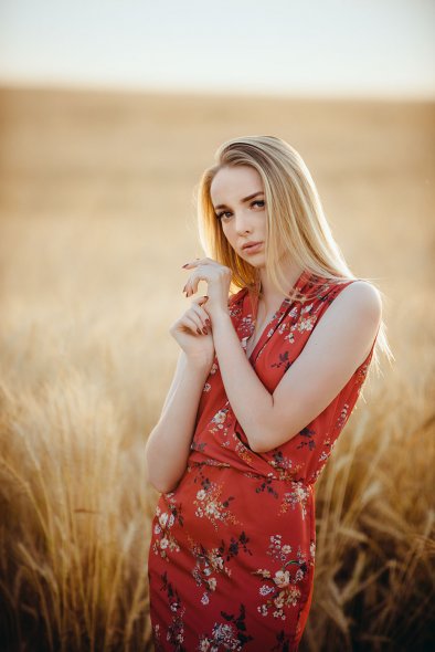 Пшеничные поля в Ярославле