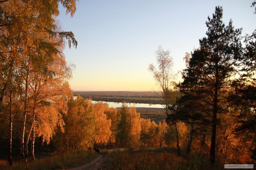 Потаповы лужки
