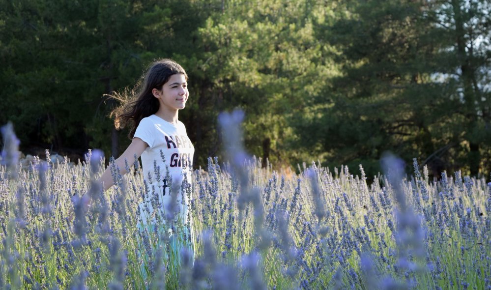 Yerkesik Yeniköy Köyü