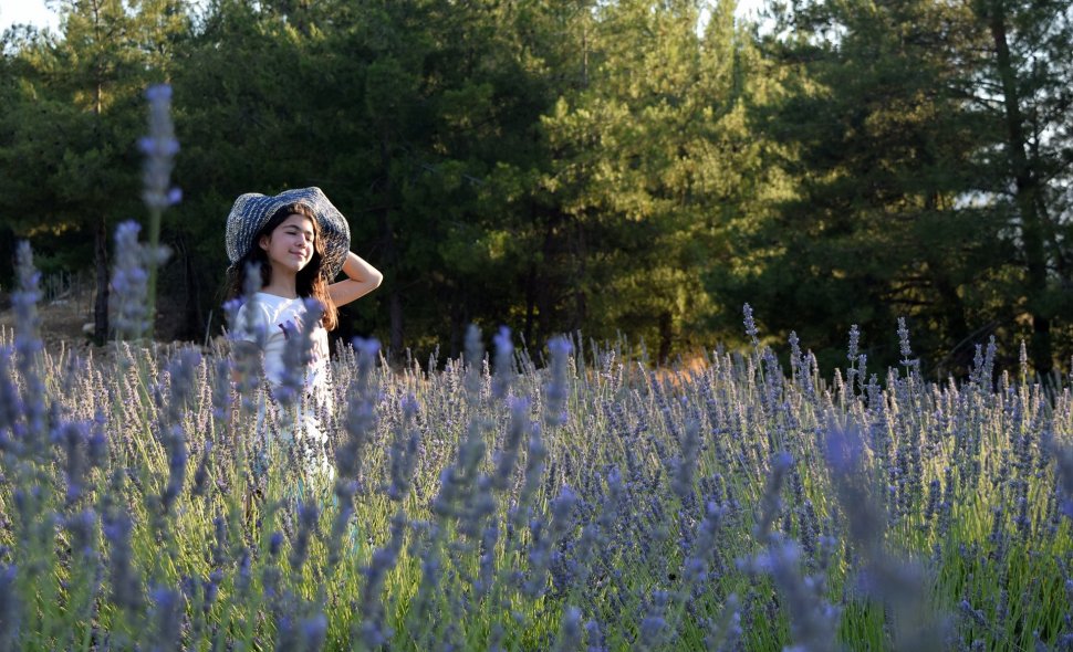 Yerkesik Yeniköy Köyü