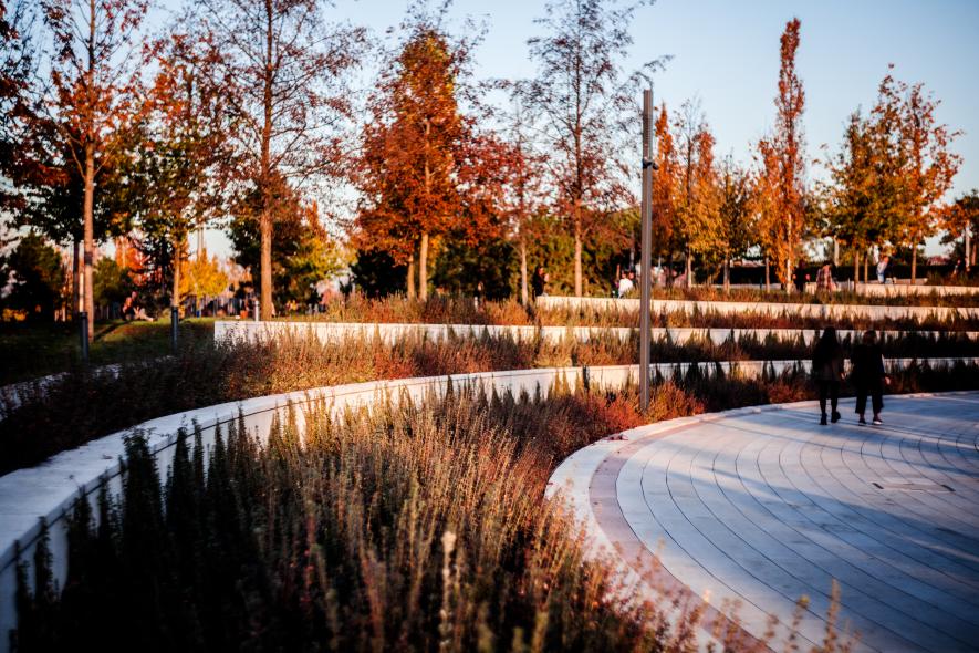 Городской парк 