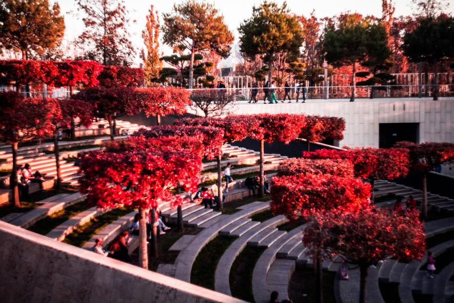 Городской парк 