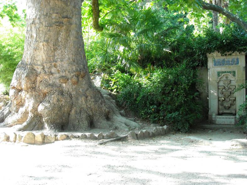 Никитский сад