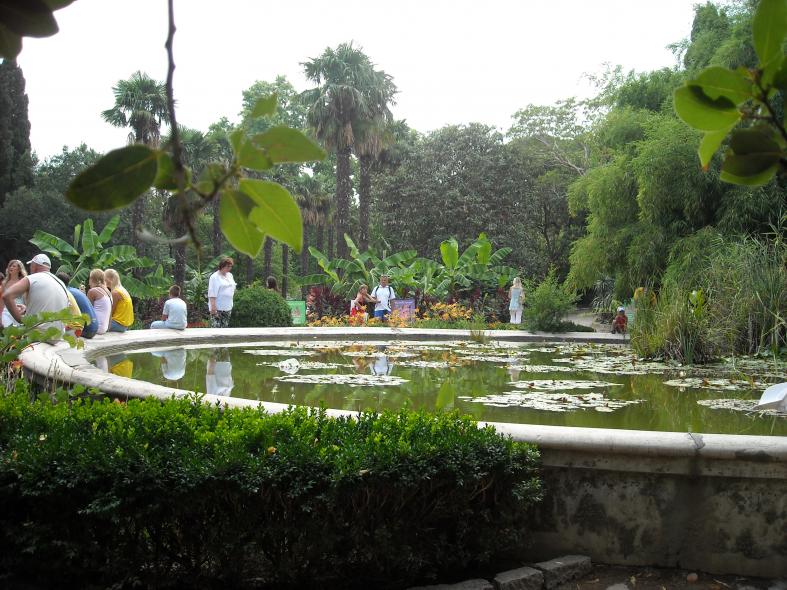 Никитский сад