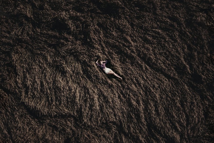 Пшеничные поля в Ярославле