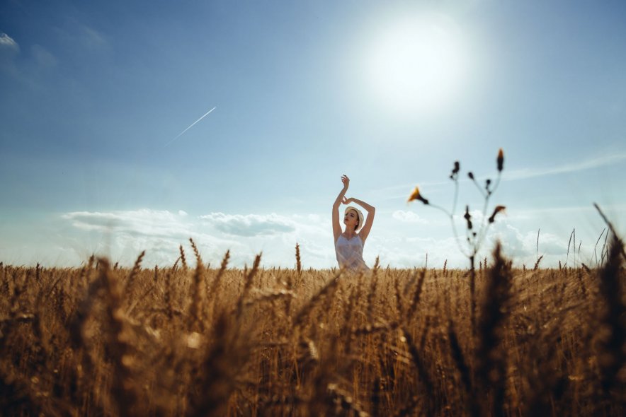 Пшеничные поля в Ярославле