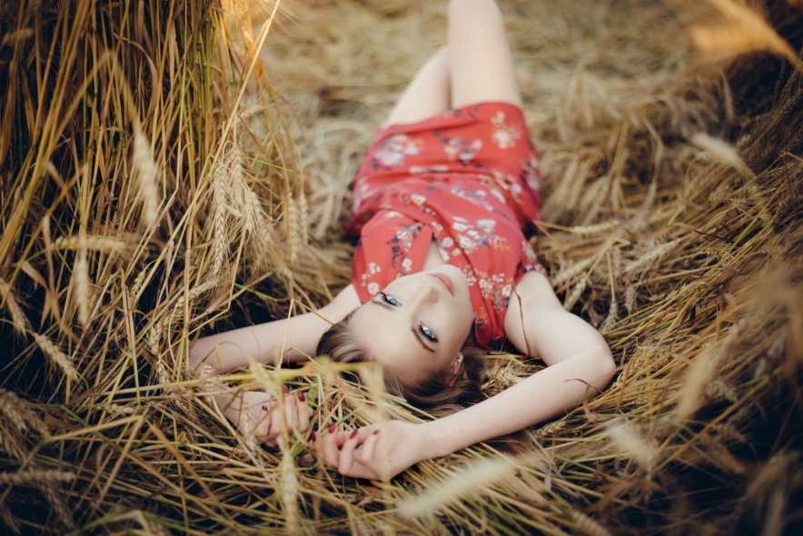 Пшеничные поля в Ярославле