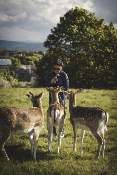 Phoenix Park