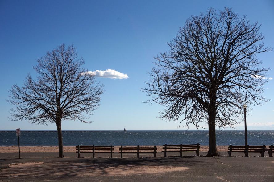 New Haven Light Point