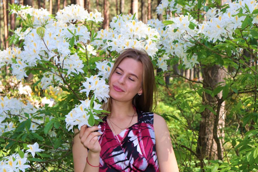 Питомник рододендронов Babīte