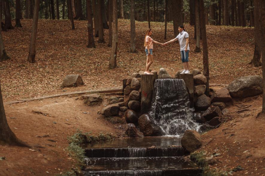 Парк Дрозды