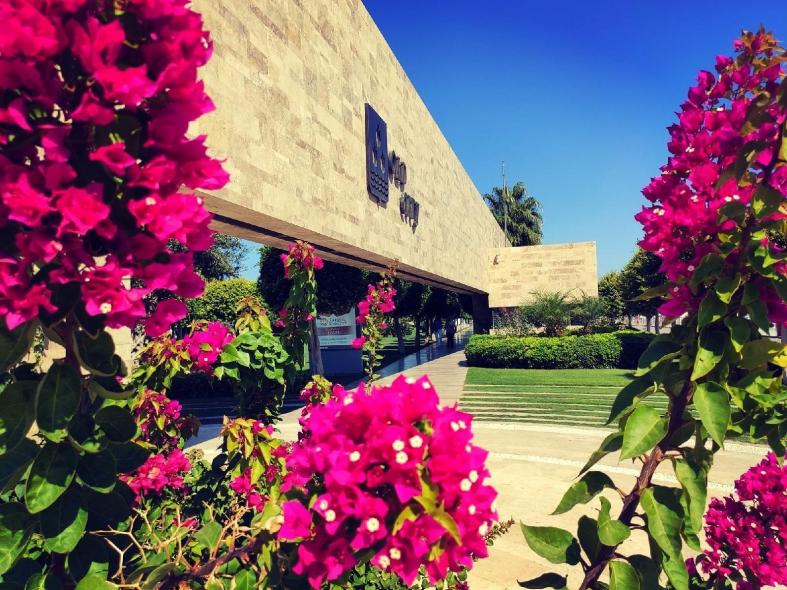 Yalıkavak Palmarina