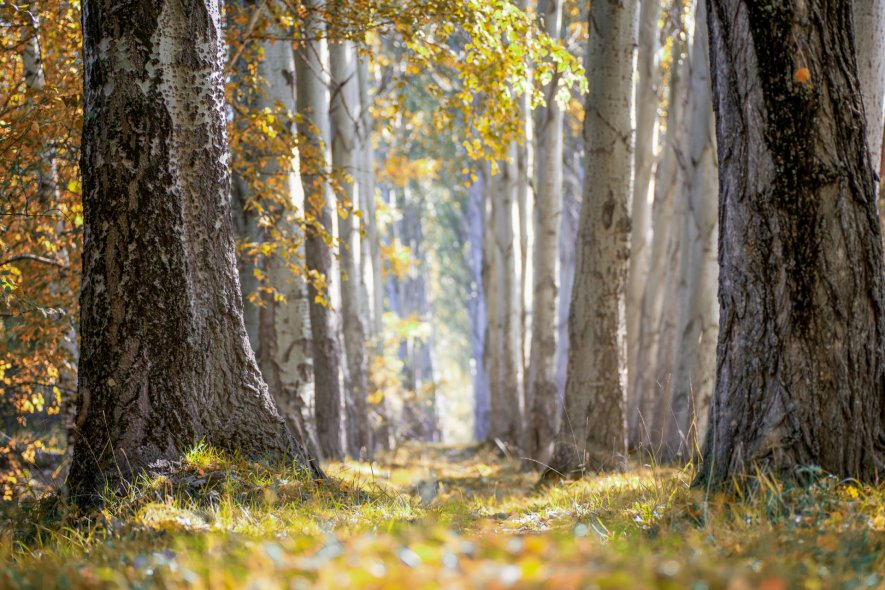 Курорт Джергалан