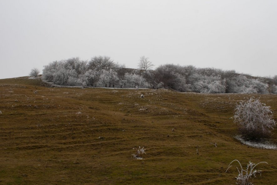 Лечинкай
