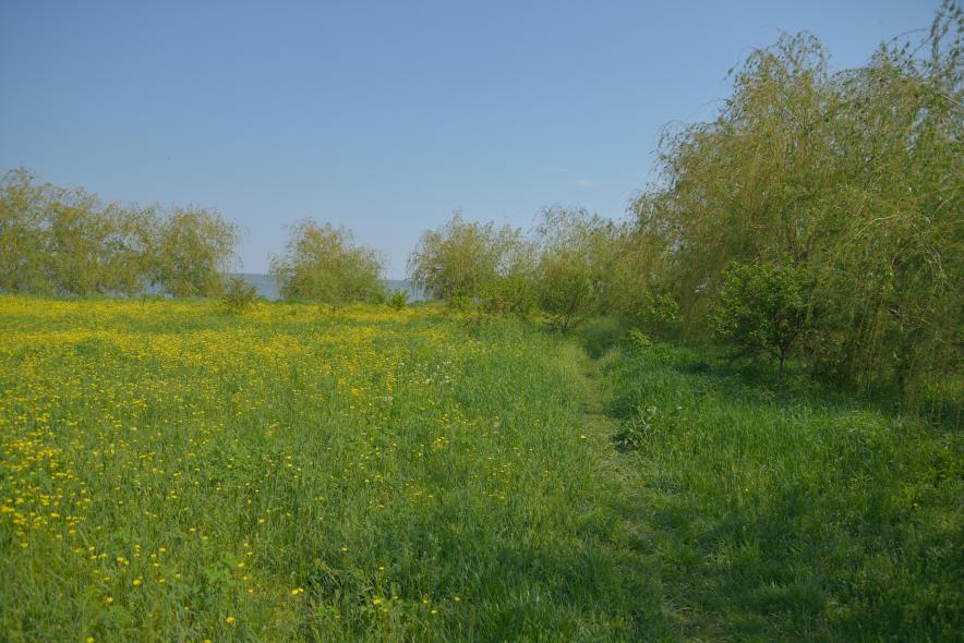 Гостиница Приазовье