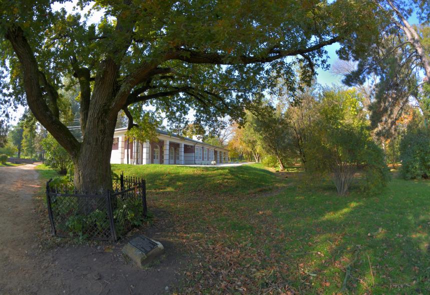 Парк им. Горького 