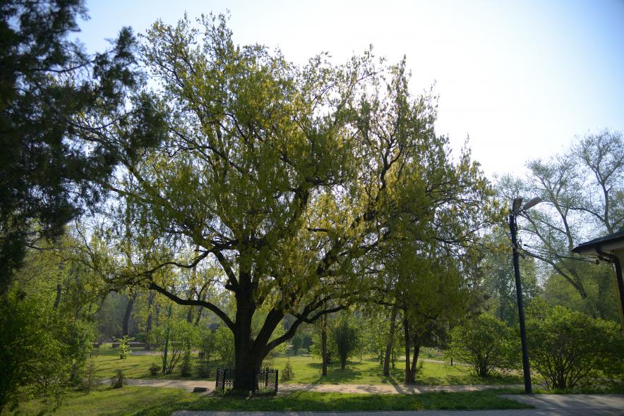 Парк им. Горького 