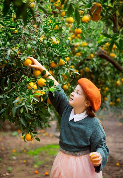 Мандариновые сады в Битезе