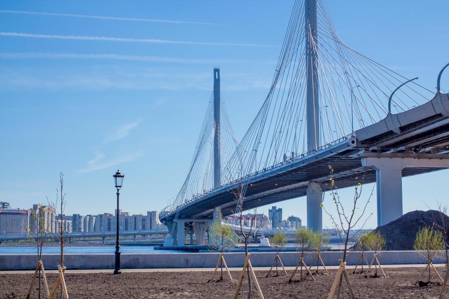 Новокрестовская